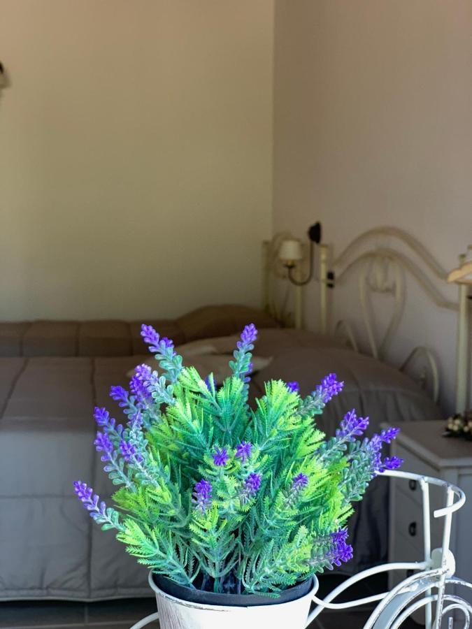 Bed and Breakfast Barsentello Noci Exterior foto