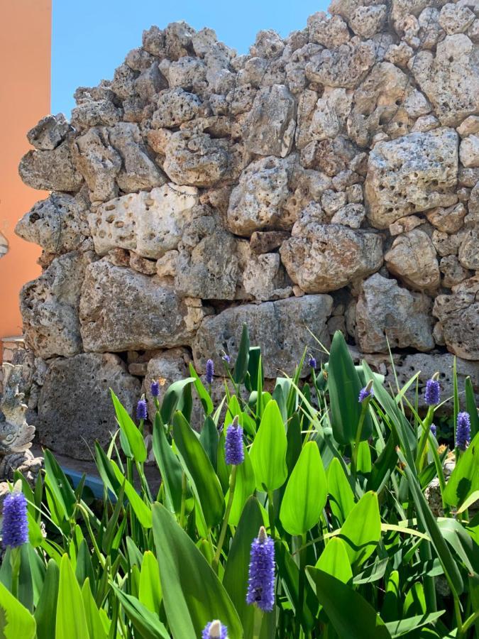 Bed and Breakfast Barsentello Noci Exterior foto